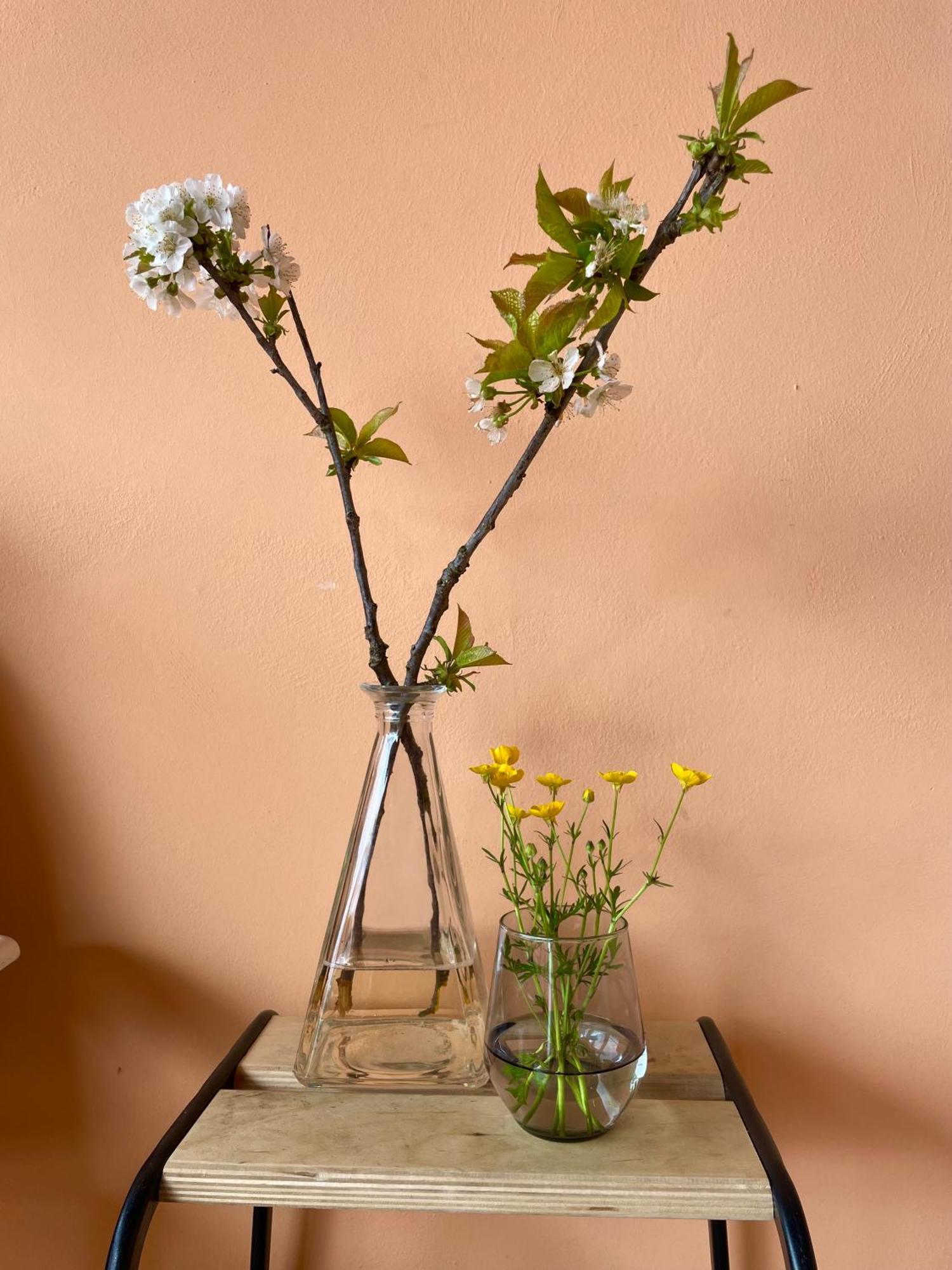 Studio Rosa Miagliano Экстерьер фото